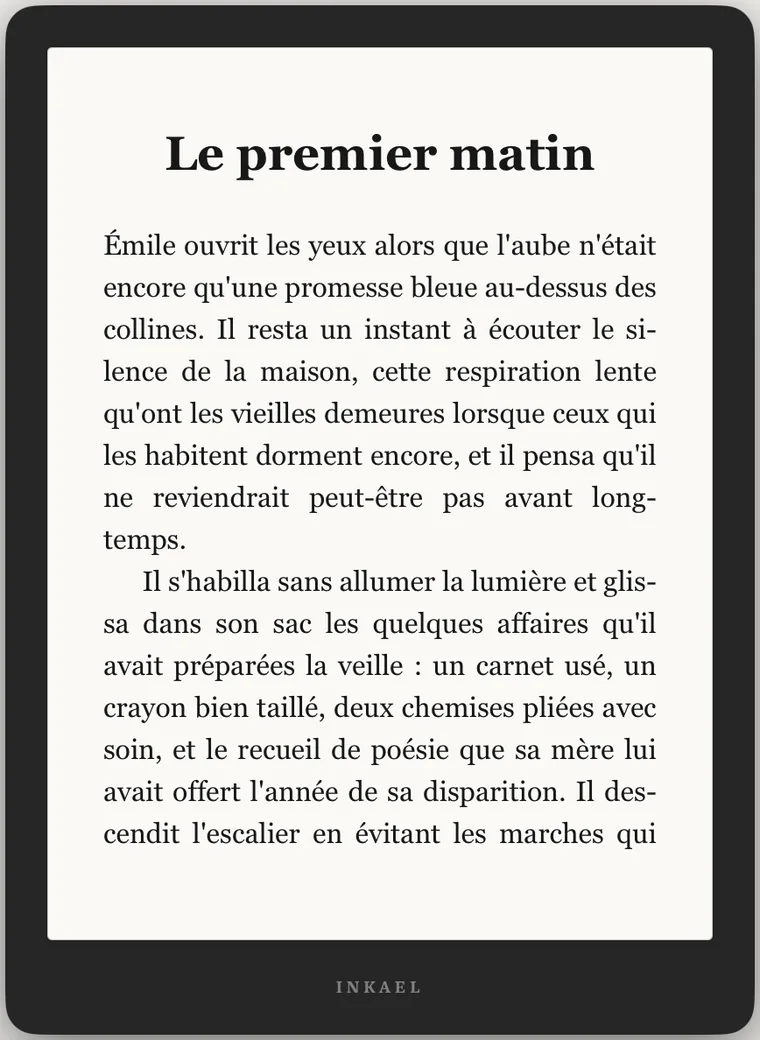 Aperçu liseuse du livre mis en page avec Inkael
